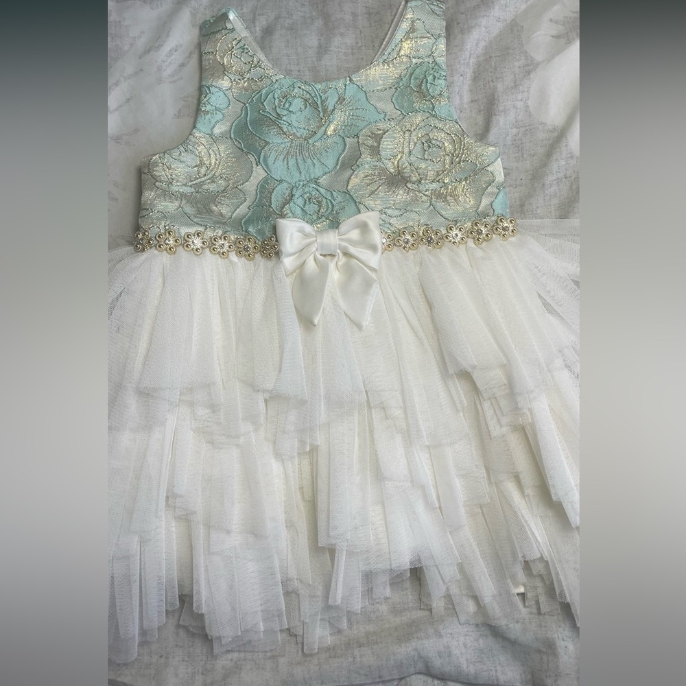 Carter's Blue and White Floral Lace Dress